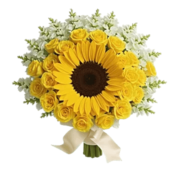 Amber Sunflower Glow