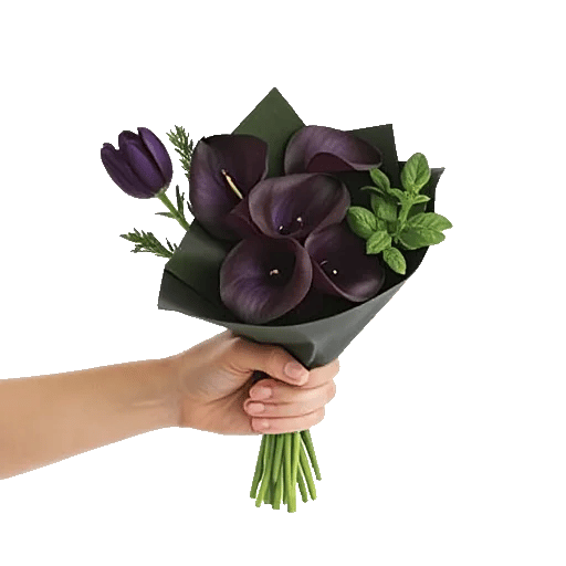 Elegant Calla Lilies