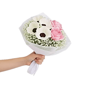 Blossom Petal Serenity