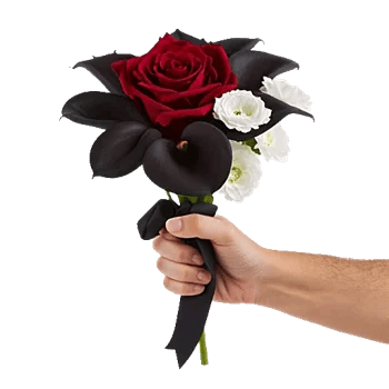 Crimson Rose Elegance