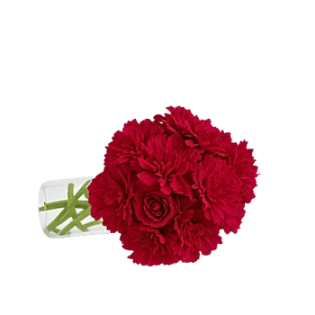 Crimson Rose Elegance