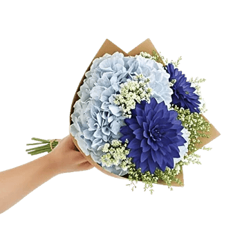 Serene Petal Harmony