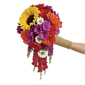 Radiant Bloom Cascade