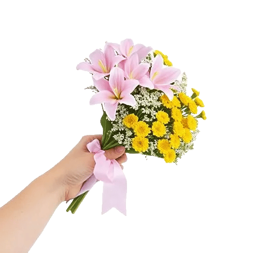 Blossom Petal Serenity