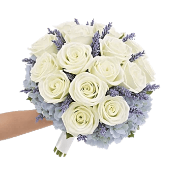 Serene Petal Harmony