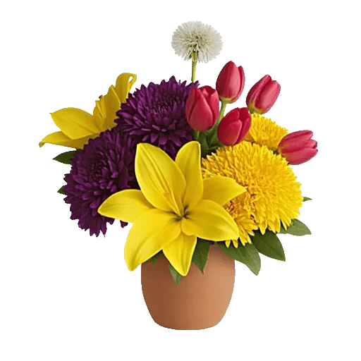 Petal Radiance Bliss