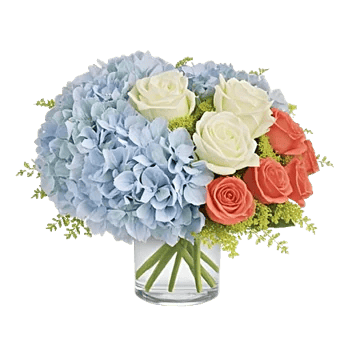 Sapphire Bloom Whisper