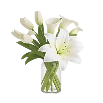 Graceful Lily Display
