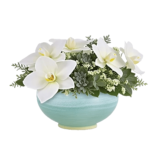 Minimalist White Orchids