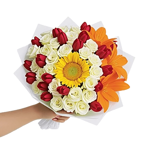 Blossom Harmony Display