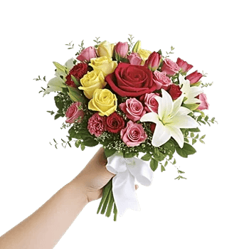 Rosemary Bloom Elegance