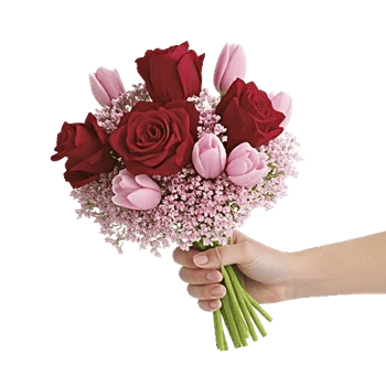 Crimson Rose Elegance