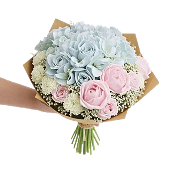 Serene Petal Harmony