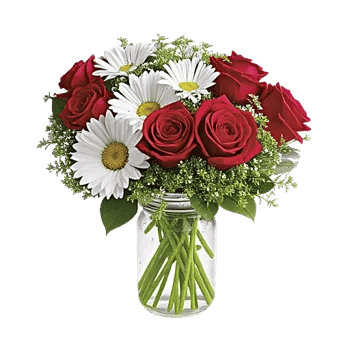 Tulip Rose Mix