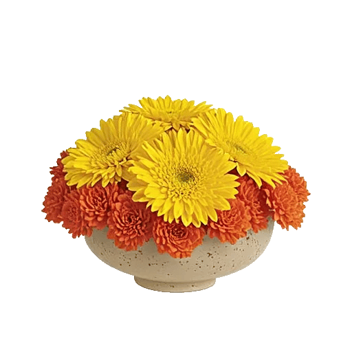 Golden Petal Harmony