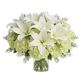 Graceful Lily Display