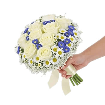 Ivory Garden Grace