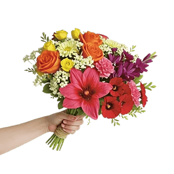 Blossom Harmony Display