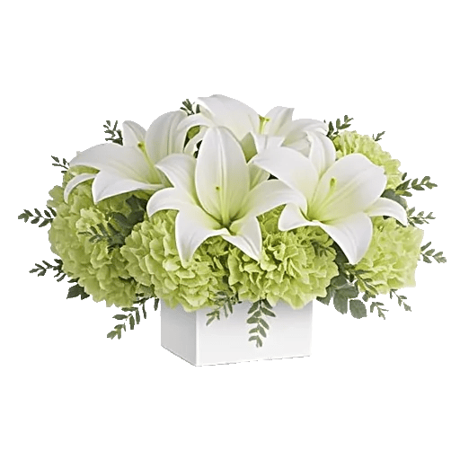 Graceful Lily Display