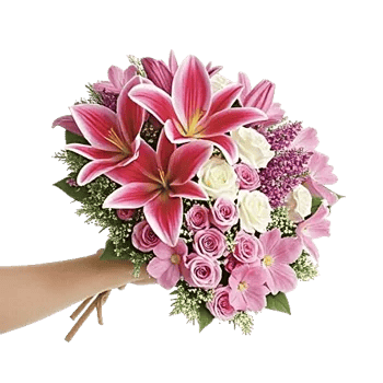 Blushing Rose Symphony