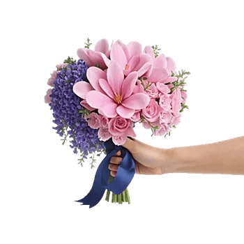 Blushing Rose Symphony