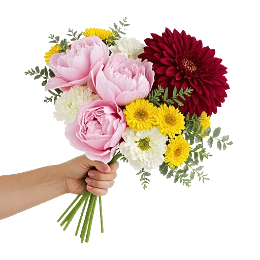 Peony Petal Harmony