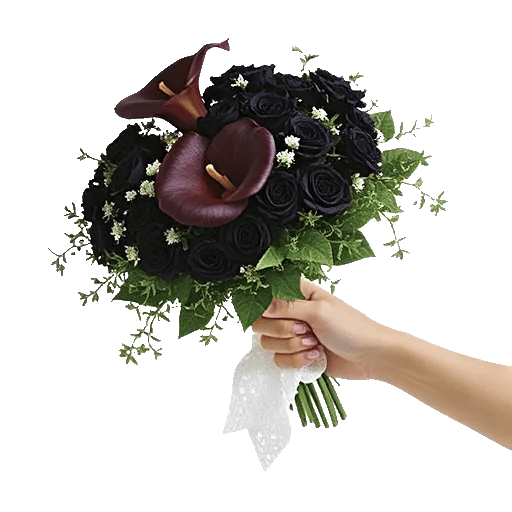 Elegant Calla Lilies