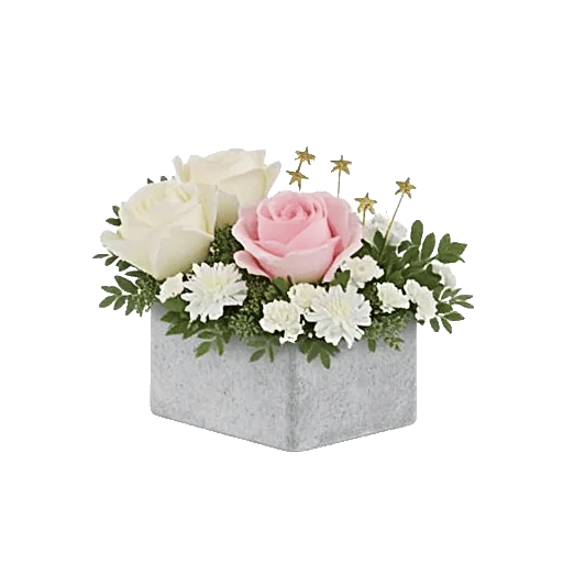 Minimalist White Orchids