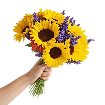 Twinkling Sunflower Dance