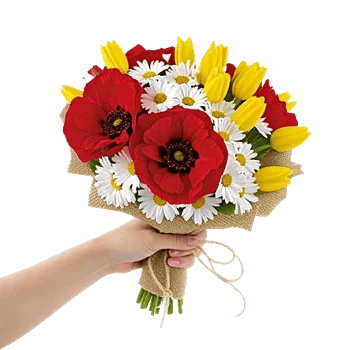 Scarlet Tulip Splendor