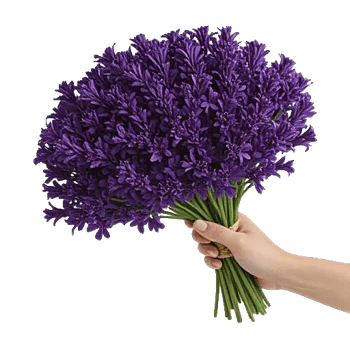 Rosemary Bloom Elegance