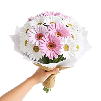 Petal Harmony Bliss