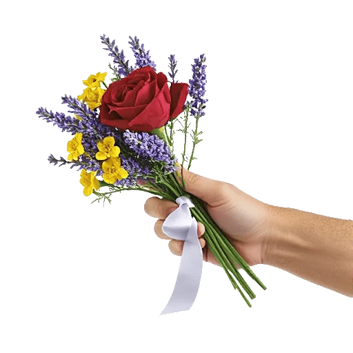 Crimson Rose Elegance