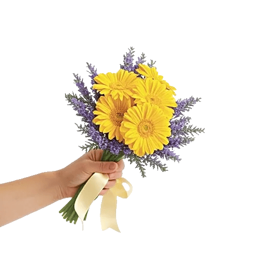 Blossom Harmony Display