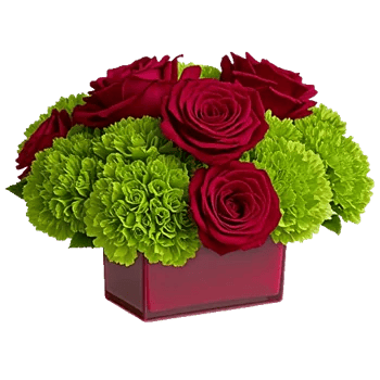 Crimson Rose Elegance