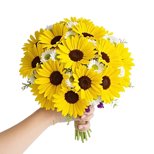 Petal Harmony Bliss