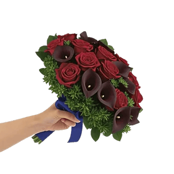 Crimson Rose Elegance