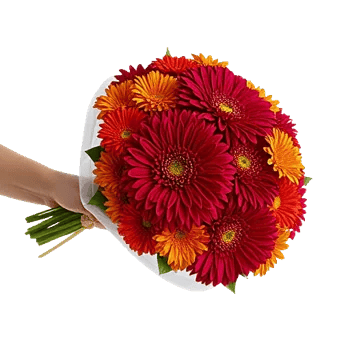 Crimson Blossom Harmony