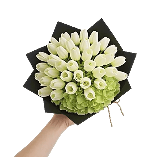 Ivory Garden Grace