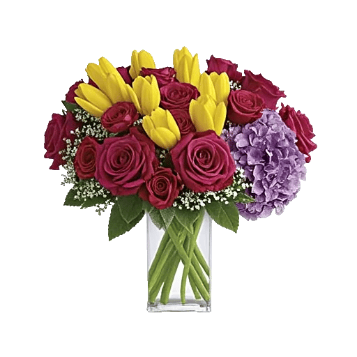 Velvet Tulip Display