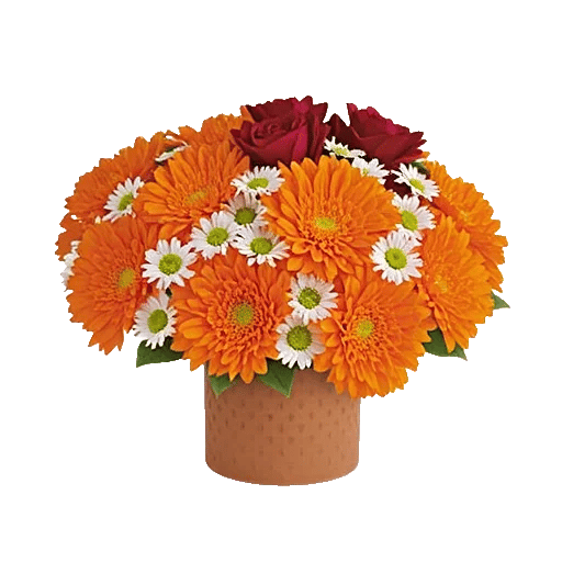 Petal Radiance Bliss