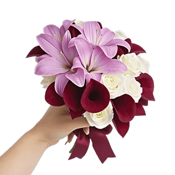 Elegant Calla Lilies