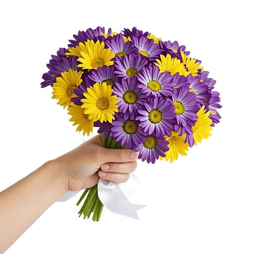 Enchanting Daisy Garden