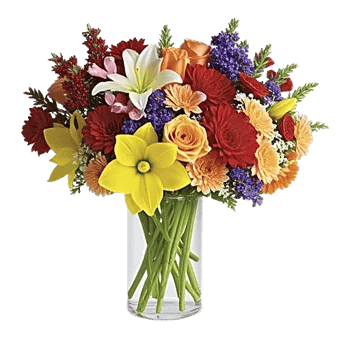 Petal Radiance Bliss