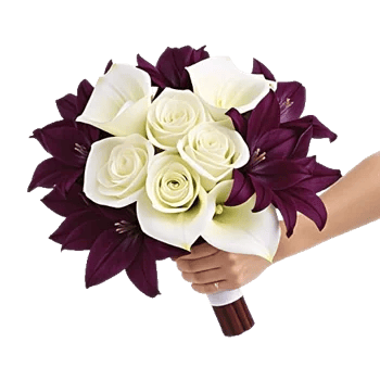 Elegant Calla Lilies