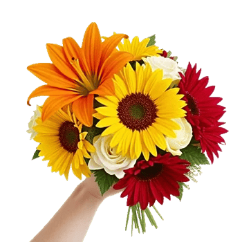 Radiant Petal Display