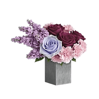 Lavender Bloom Grace