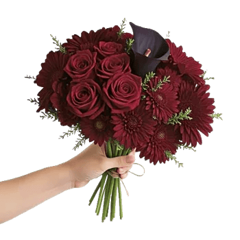 Deep Red Foliage