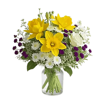 Ivory Blossom Radiance