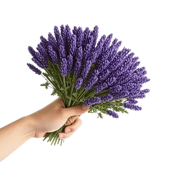 Lavender Bloom Grace